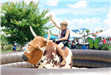Mechanical Bull