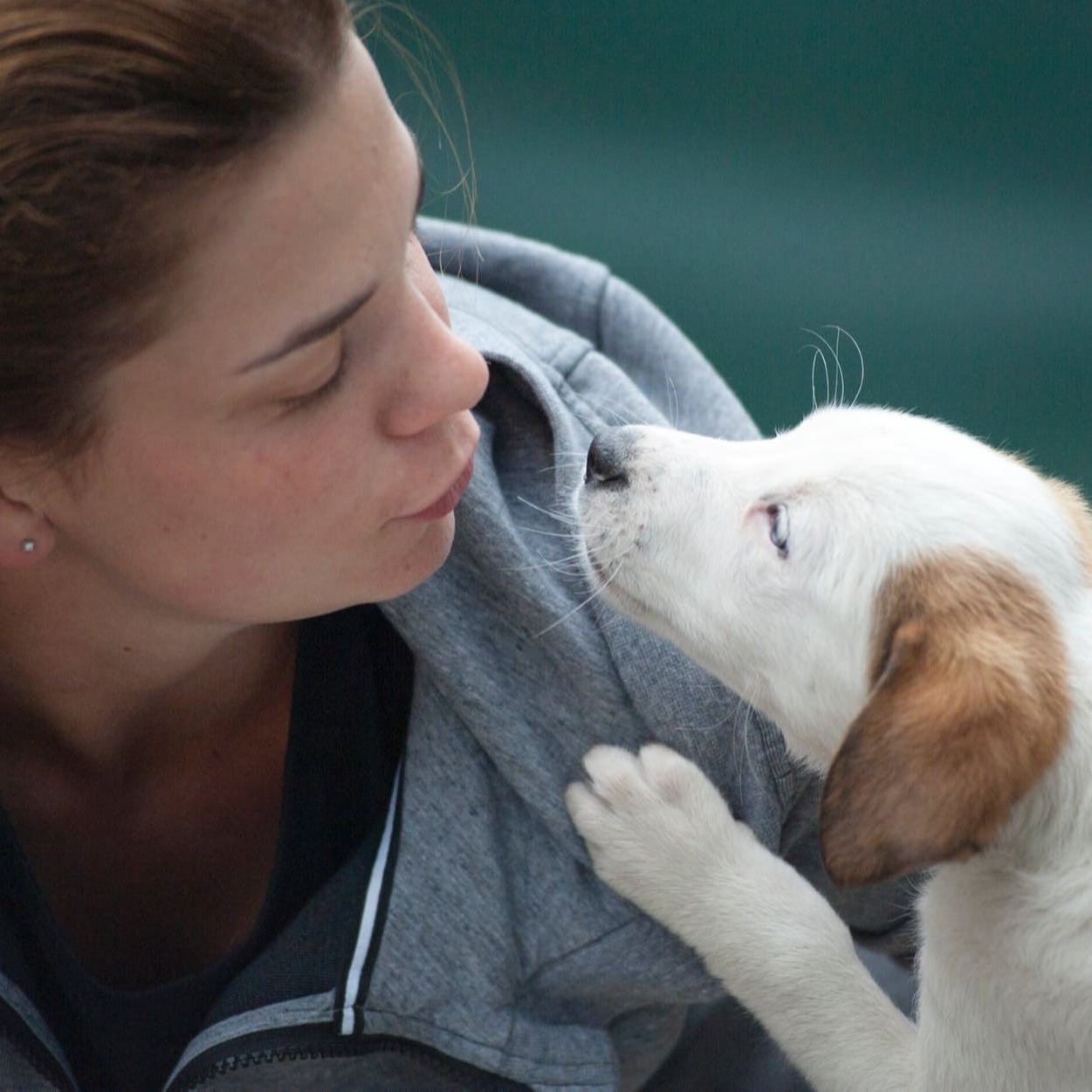 couple adopts a puppy