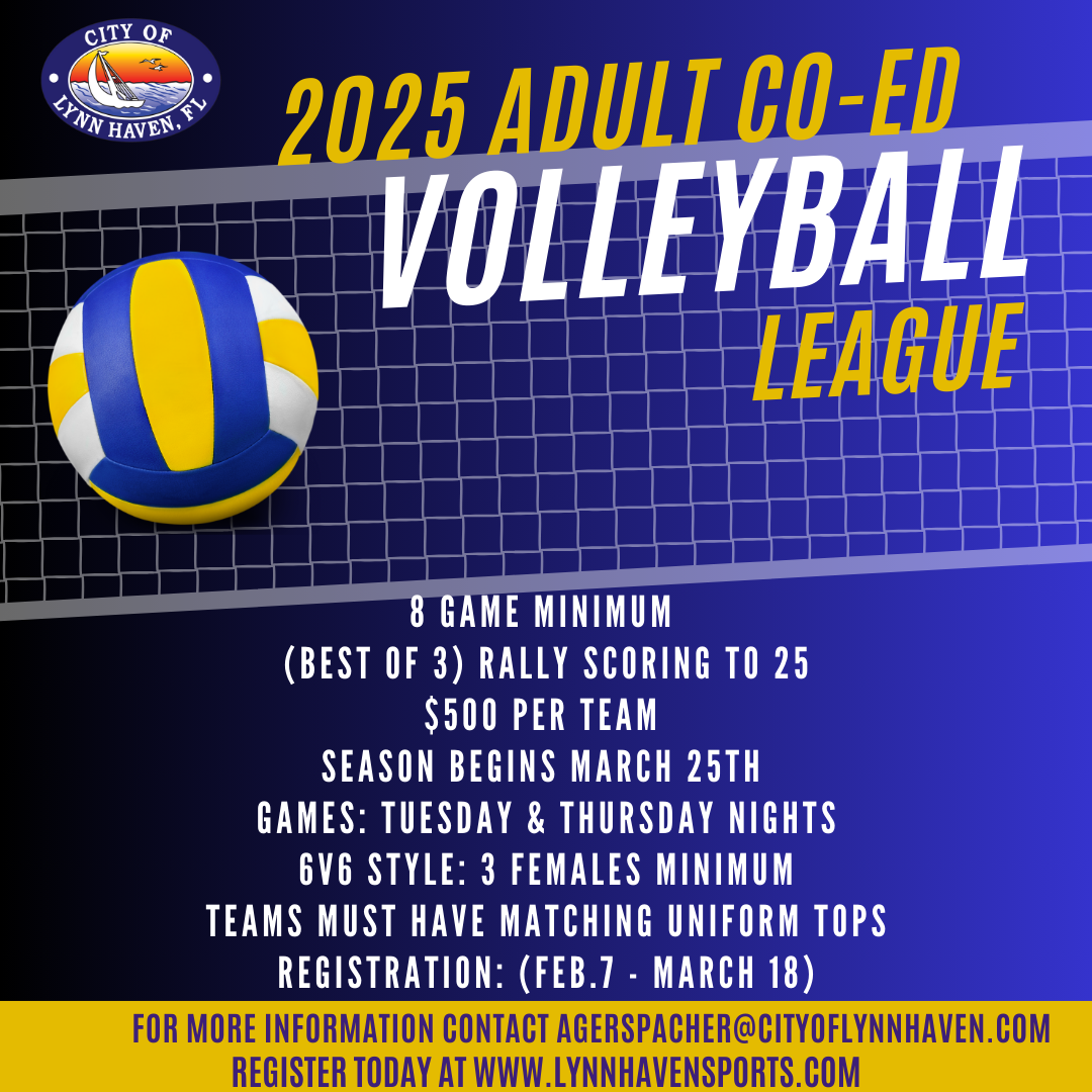 Adult Volleyball Flyer 2024 (1)