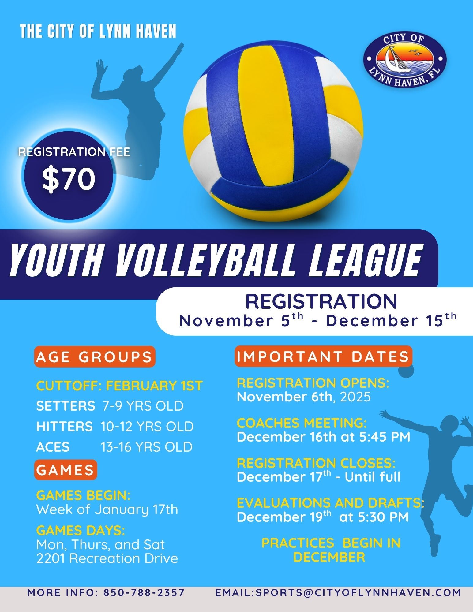 _Volleyball League Flyer 2024