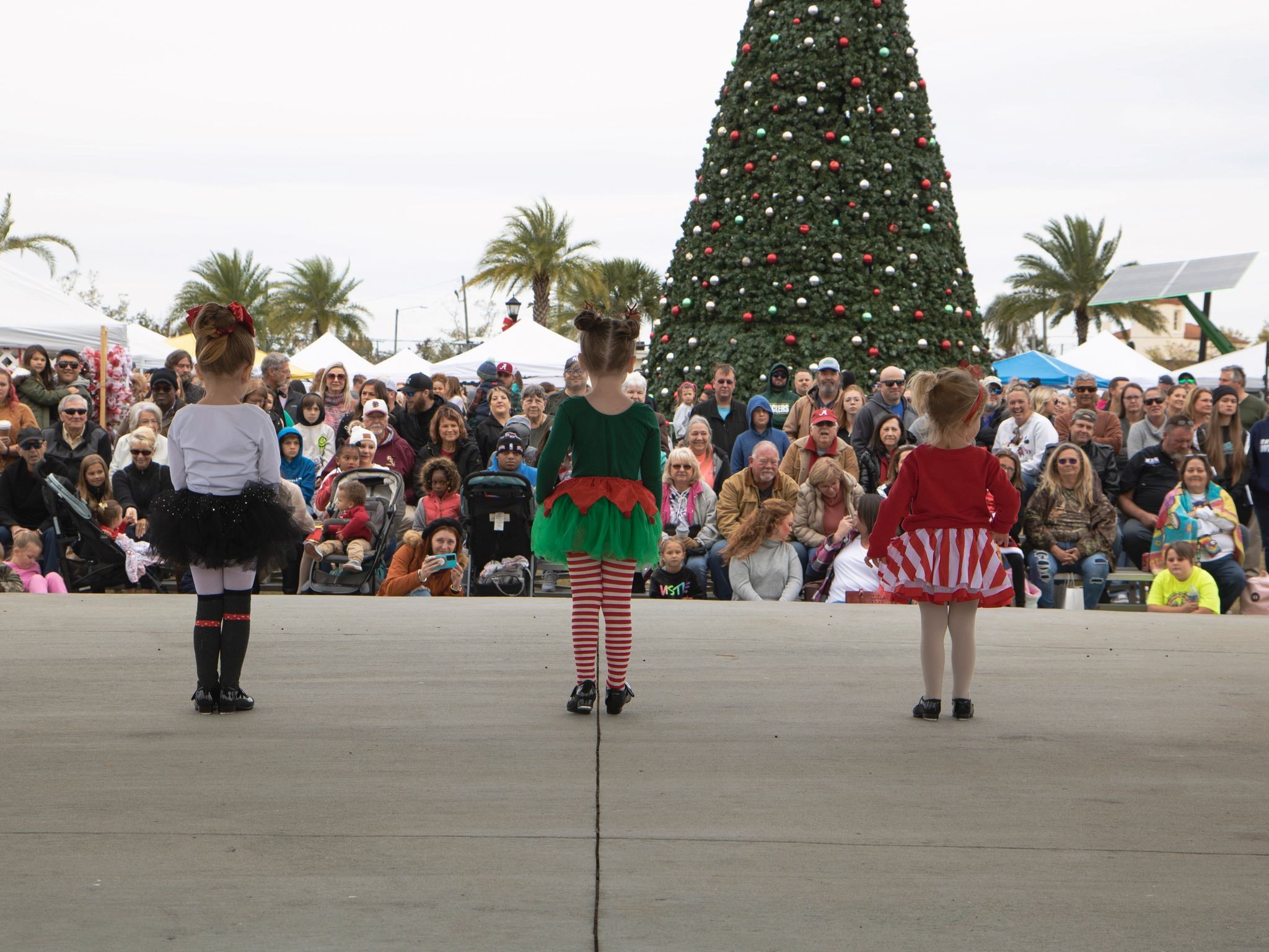 473755798_1012213914275230_4568049290868866694_n